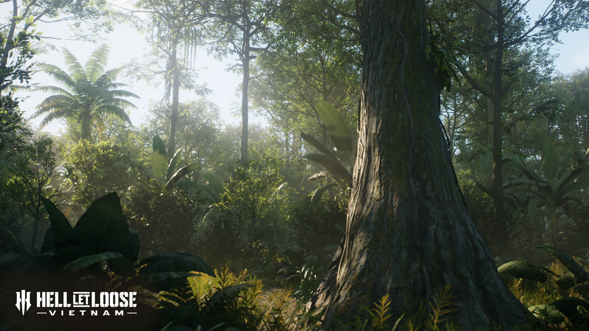 1920x1080 Socials Big Tree