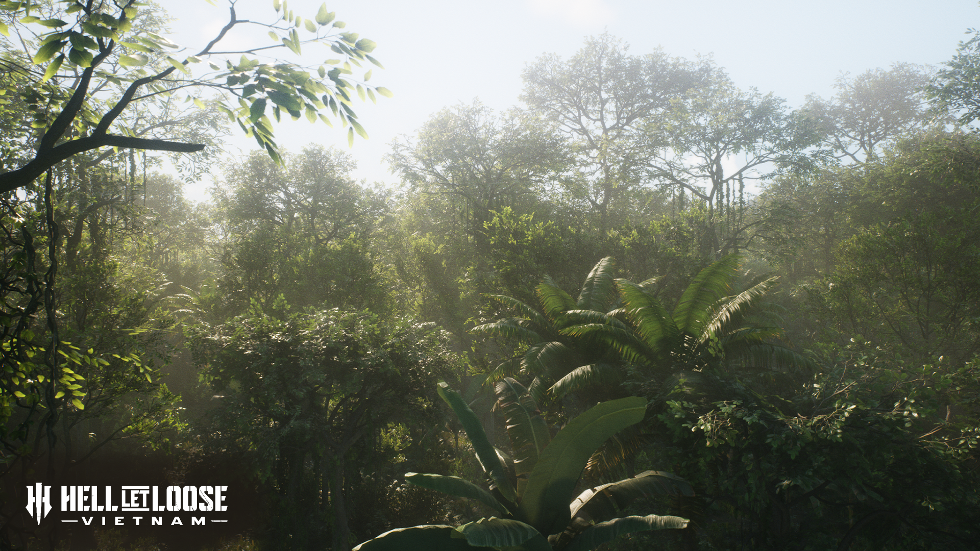 1920x1080 Socials Forest