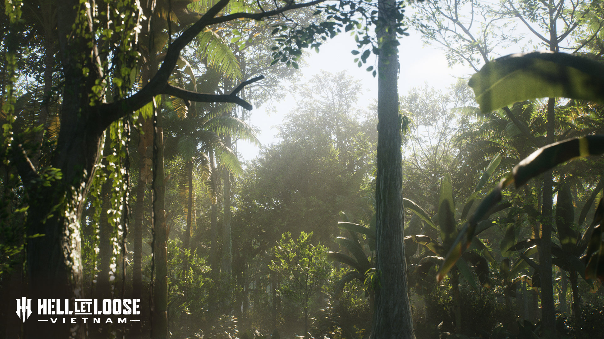 1920x1080 Socials Jungle